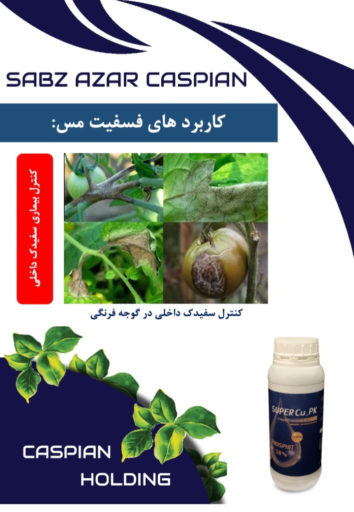 Slide10