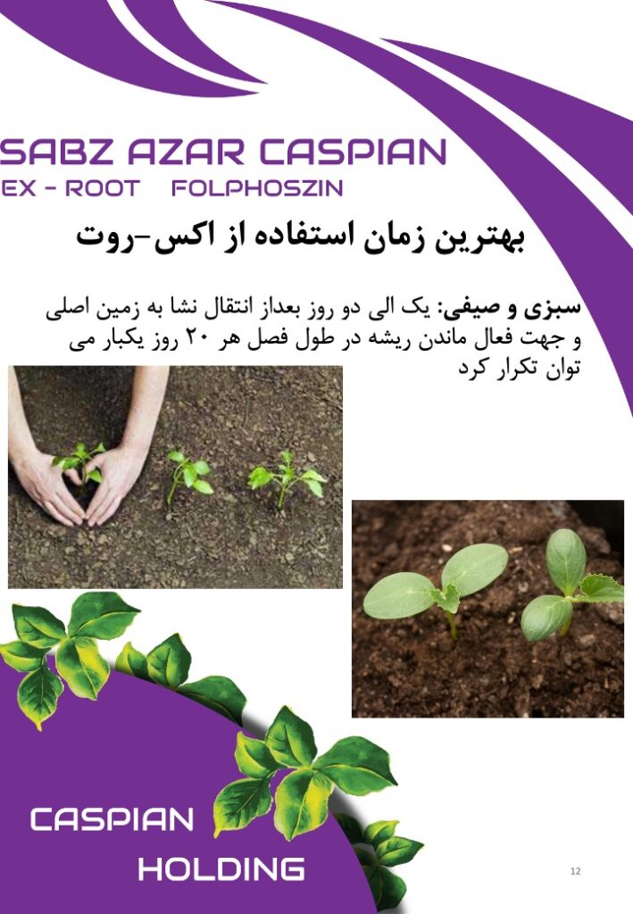Slide12