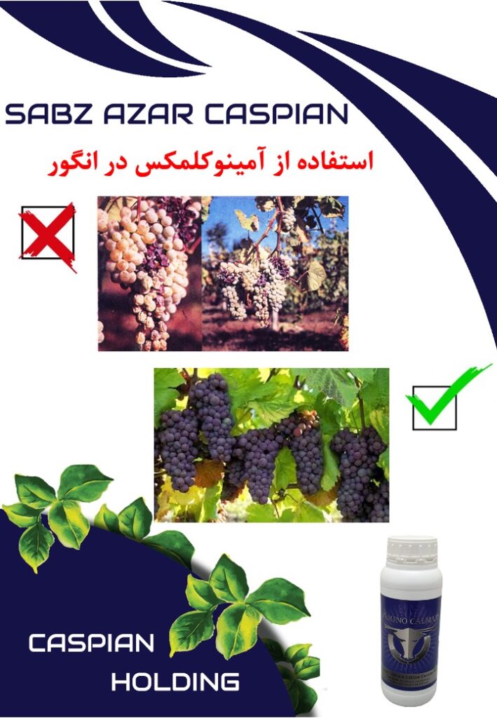Slide13