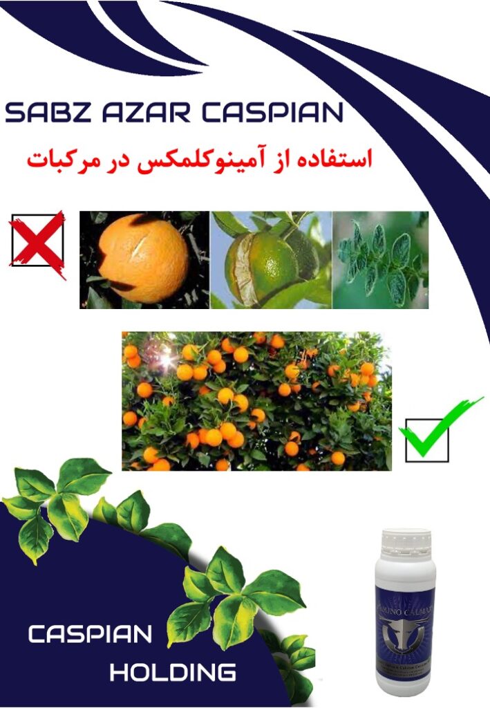 Slide14