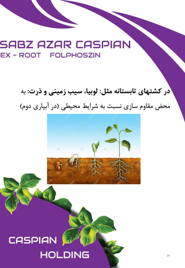 Slide14