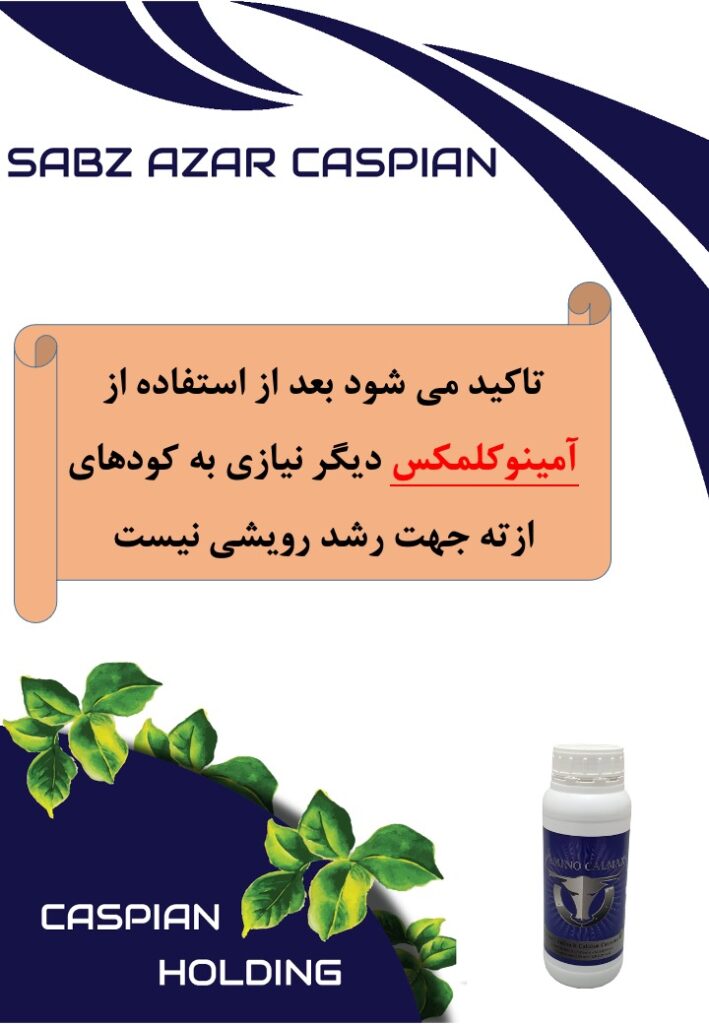 Slide15