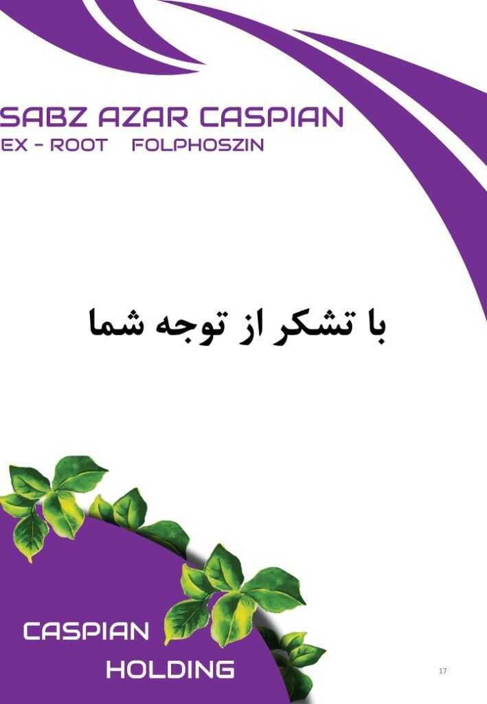 Slide17