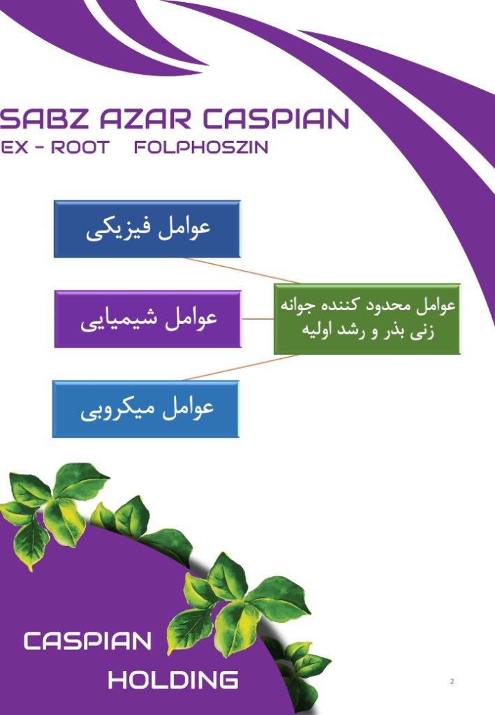 Slide2
