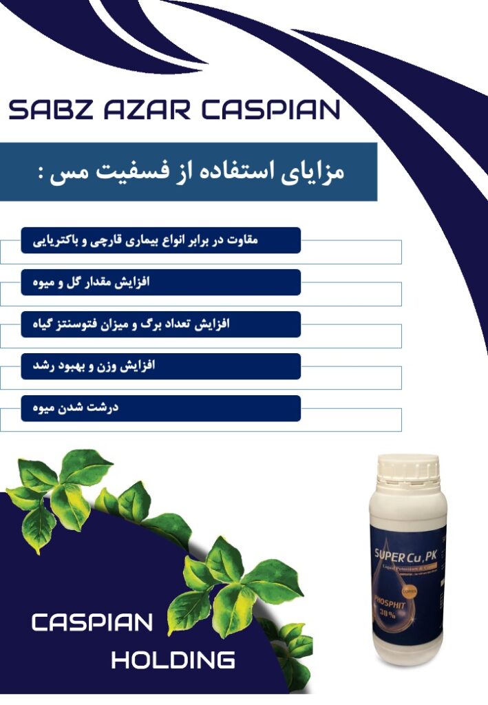Slide3