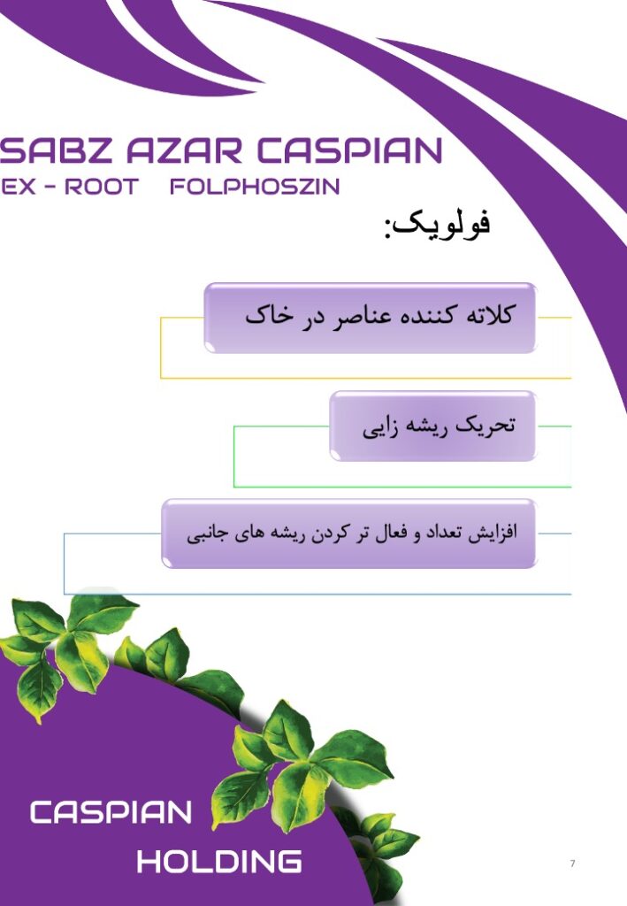 Slide7