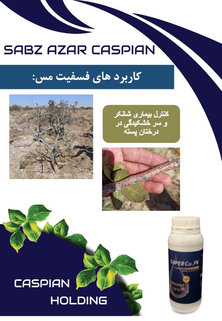 Slide7