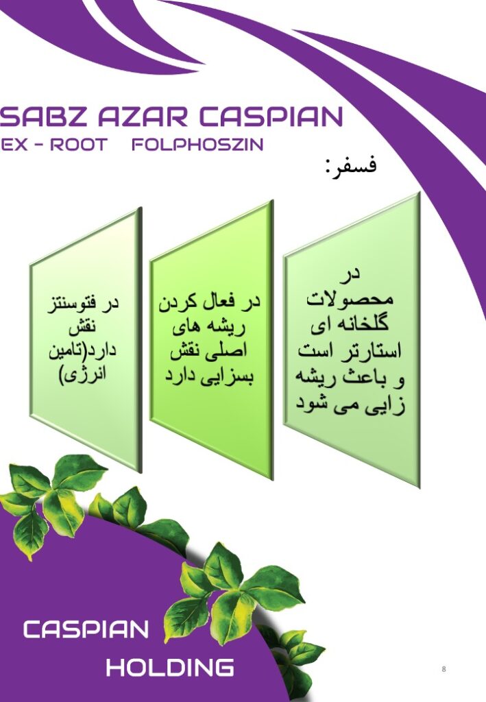 Slide8