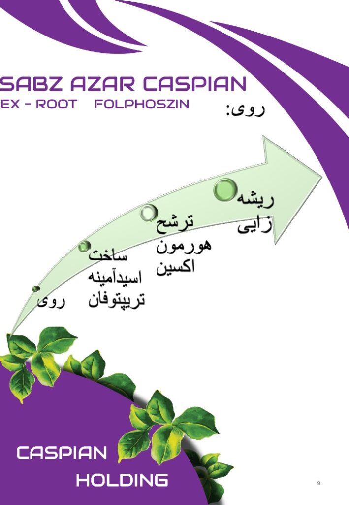 Slide9