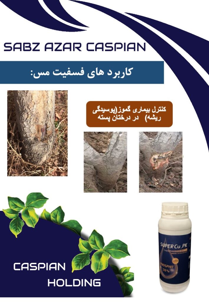 Slide9