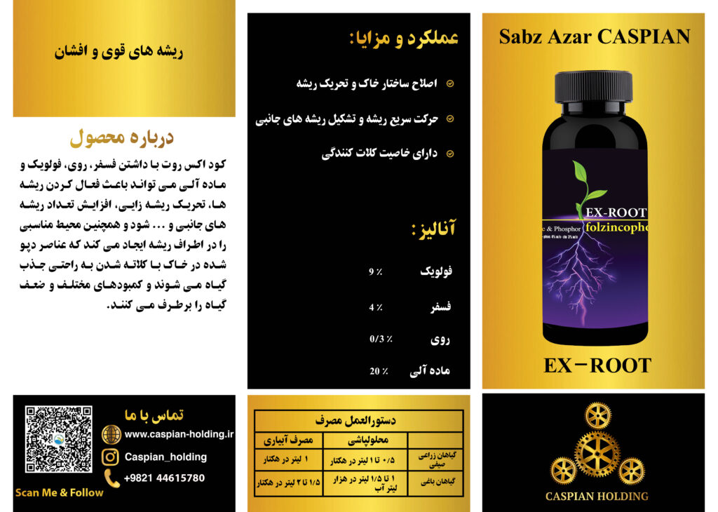 اکس رووت